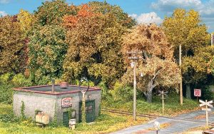 Cass County Railroad